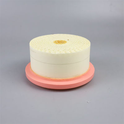 Luftkompressor-Luftfilter 6.4161.0 3 Monate 1 kg Gewicht für eine langfristige Luftfiltration